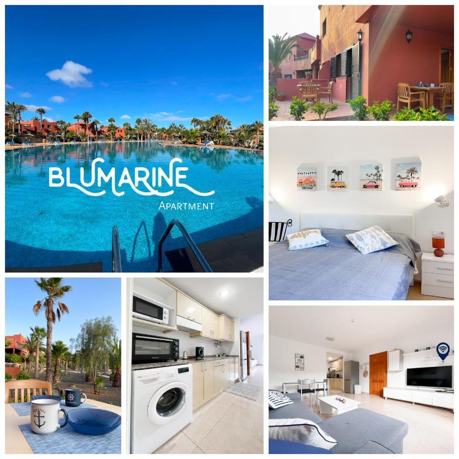 Tamarindo Blumarine - Pool & Wifi Free 4 Persons Apartment Corralejo Exterior foto