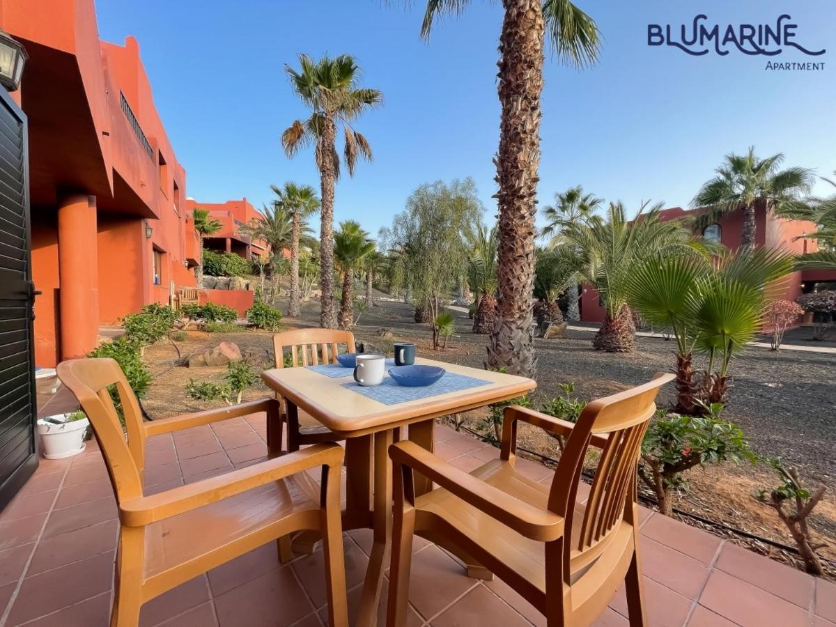 Tamarindo Blumarine - Pool & Wifi Free 4 Persons Apartment Corralejo Exterior foto
