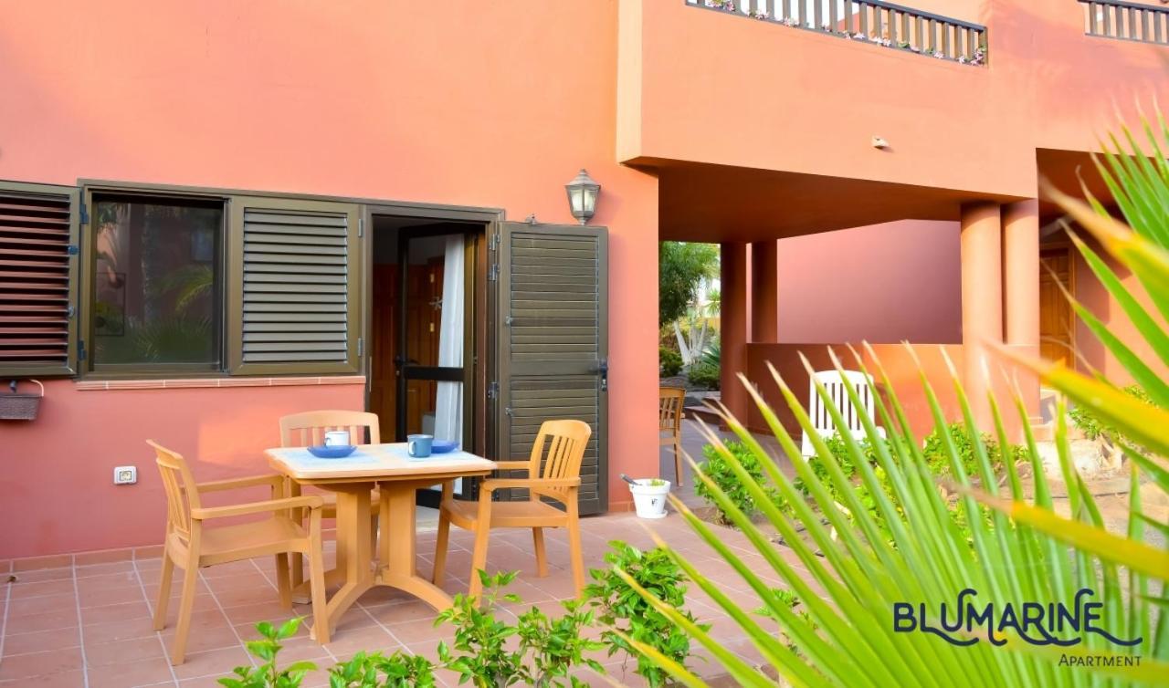 Tamarindo Blumarine - Pool & Wifi Free 4 Persons Apartment Corralejo Exterior foto