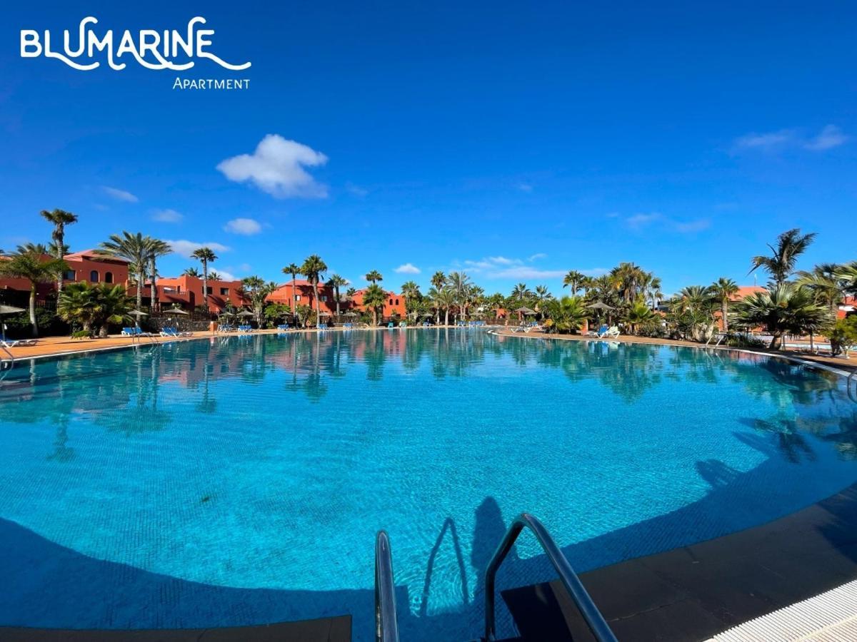 Tamarindo Blumarine - Pool & Wifi Free 4 Persons Apartment Corralejo Exterior foto