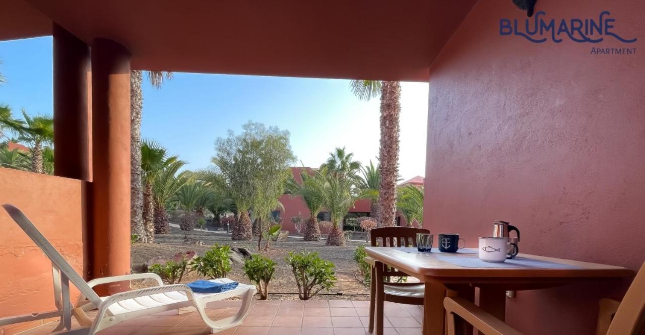 Tamarindo Blumarine - Pool & Wifi Free 4 Persons Apartment Corralejo Exterior foto