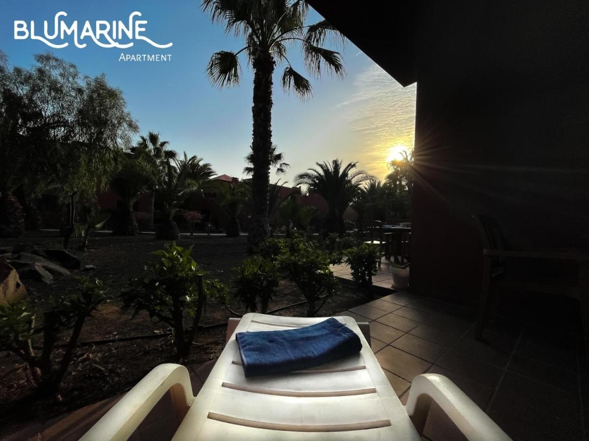 Tamarindo Blumarine - Pool & Wifi Free 4 Persons Apartment Corralejo Exterior foto