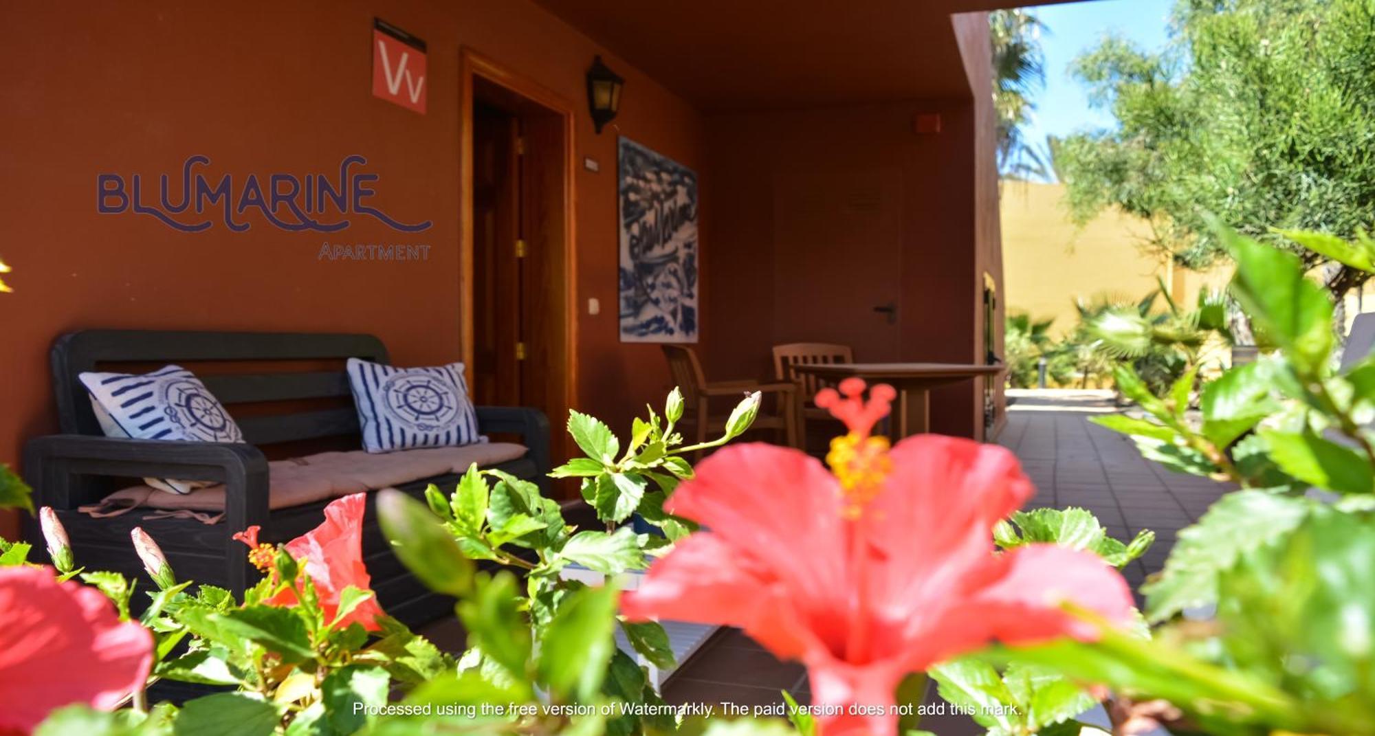 Tamarindo Blumarine - Pool & Wifi Free 4 Persons Apartment Corralejo Exterior foto