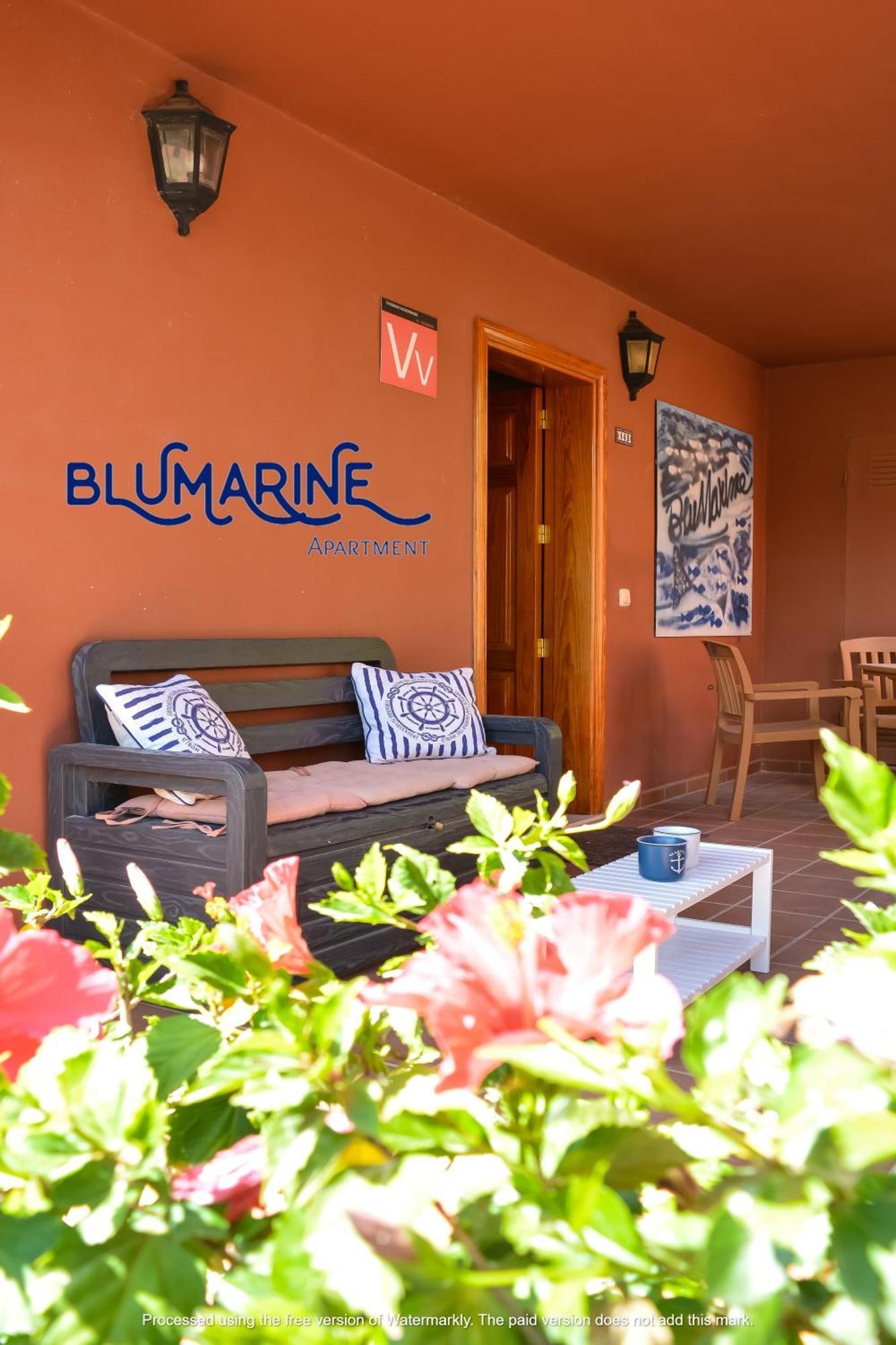 Tamarindo Blumarine - Pool & Wifi Free 4 Persons Apartment Corralejo Exterior foto